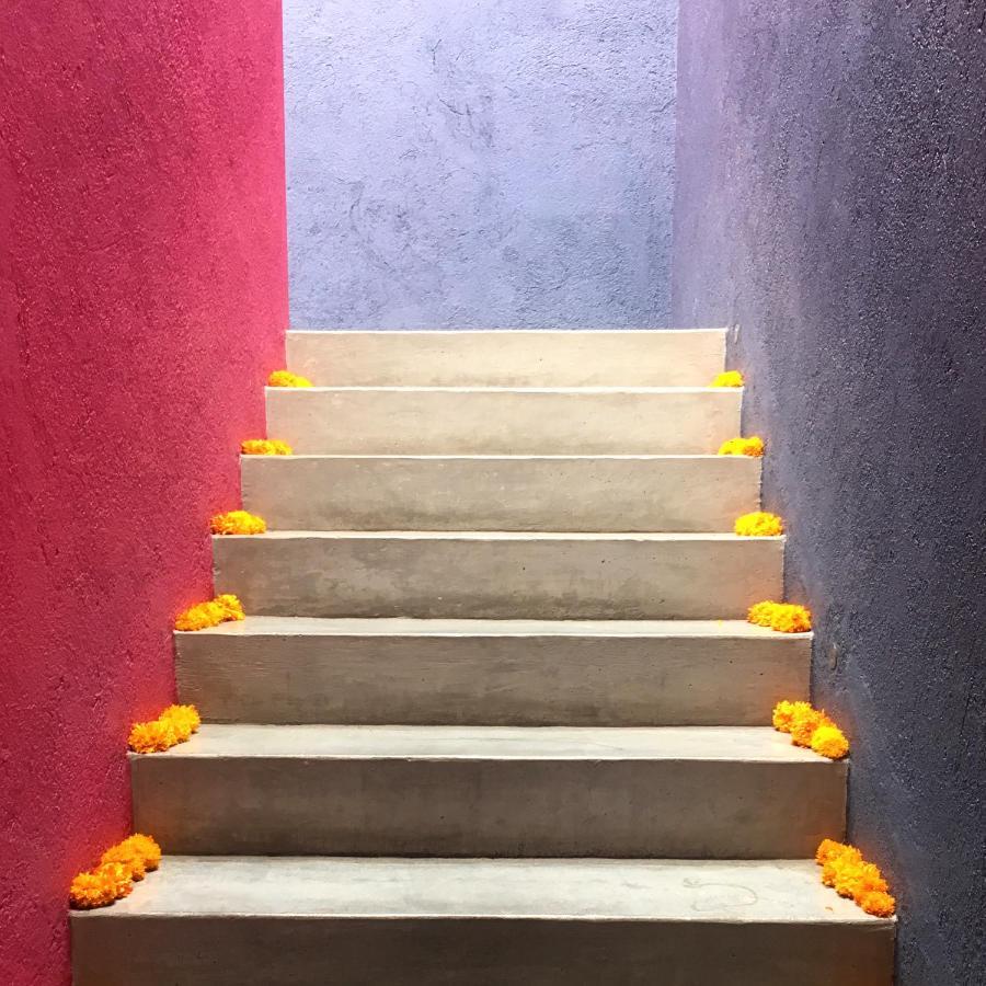 La Betulia Bed And Breakfast Oaxaca Экстерьер фото
