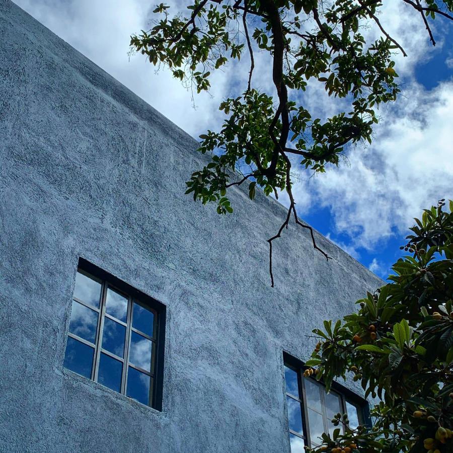 La Betulia Bed And Breakfast Oaxaca Экстерьер фото