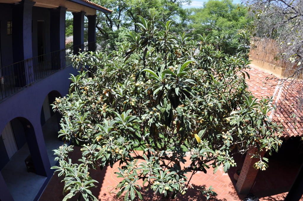 La Betulia Bed And Breakfast Oaxaca Экстерьер фото